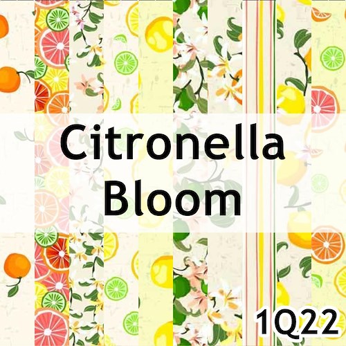 Citronella Bloom